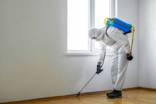 Emergency Pest Control Services in Somerset, KY